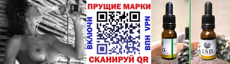 дарнет шоп  Шебекино  Марки NBOMe 1500мкг 