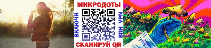 купить наркотик  Шебекино  Галлюциногенные грибы MAGIC MUSHROOMS 