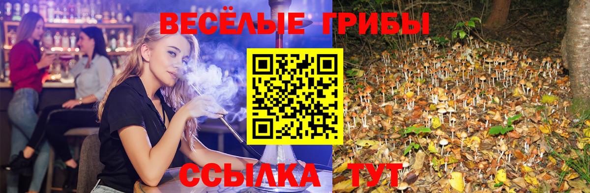 Галлюциногенные грибы прущие грибы  Псилоцибиновые грибы ЛСД  Вход с VPN  Шебекино 