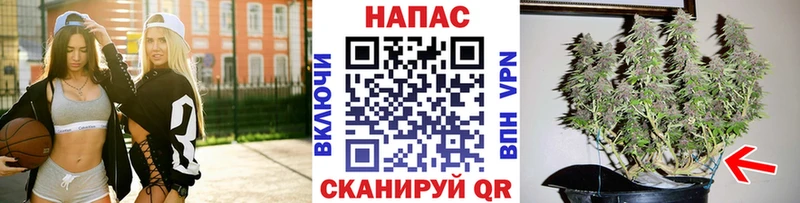 купить  сайты  Шебекино  Марихуана OG Kush 